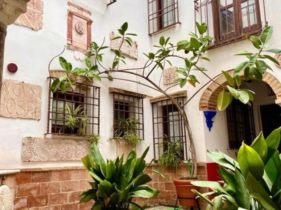 Buhardilla De Wallada Córdoba Exteriör bild