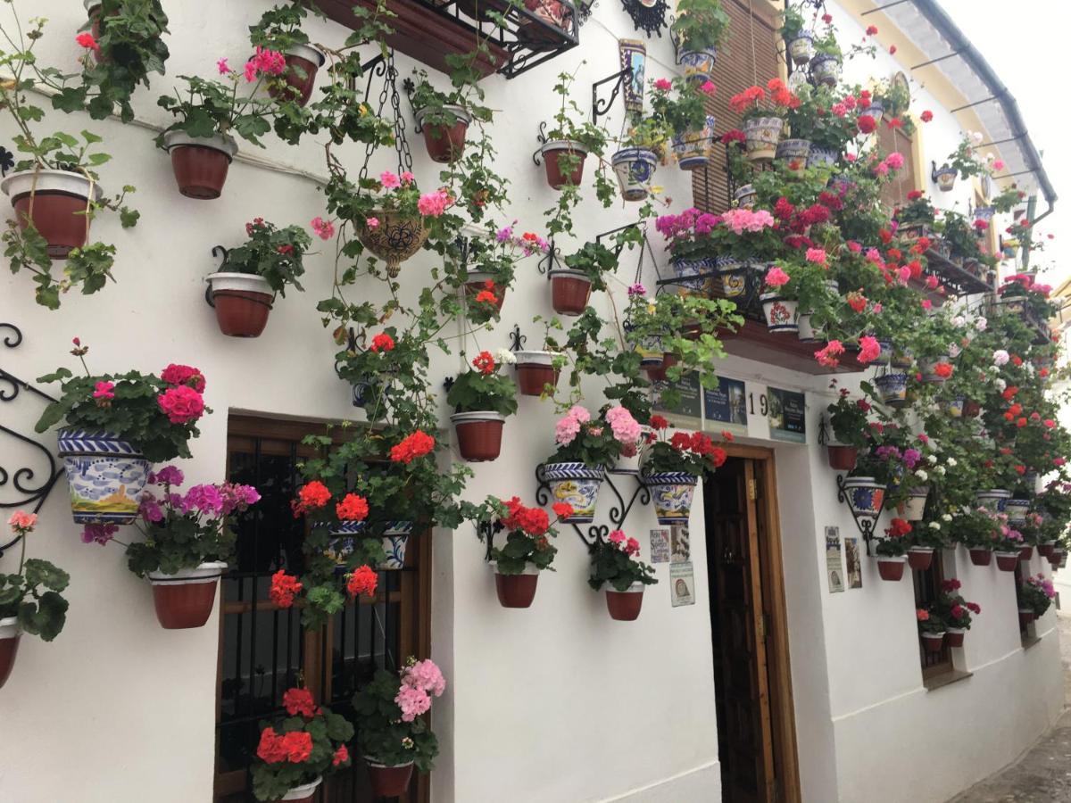Buhardilla De Wallada Córdoba Exteriör bild